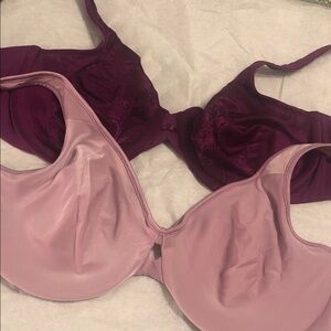 Lilyette Women's Bra Set - Deep Purple and Soft Pink